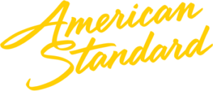 Read more about the article American Standard Flowise