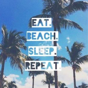 Read more about the article Beach Please!