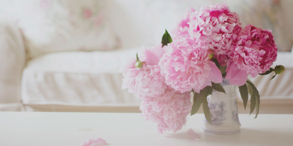 Read more about the article Peony Time!