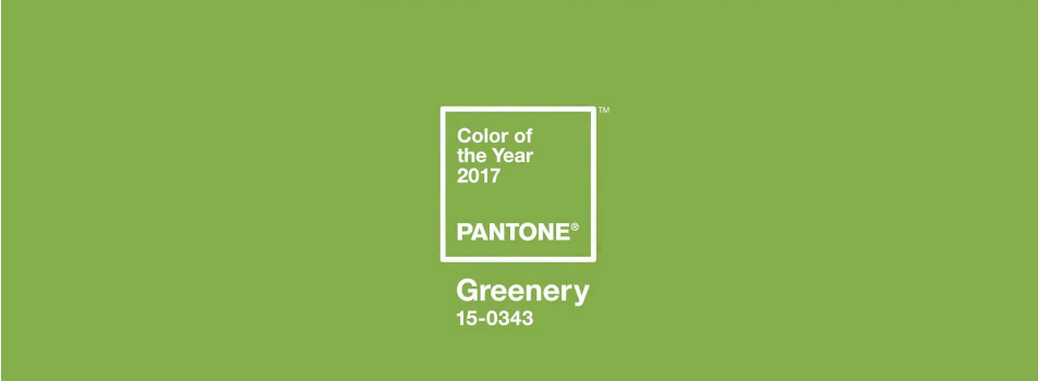 Read more about the article “Greenery” For Your Bath