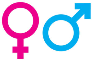Read more about the article Bathroom Sharing: Survival Guide
