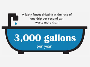 Read more about the article Fix a Leak Infographic