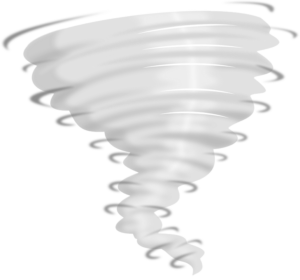 Read more about the article TOTO’s Tornado Flush System – In Action