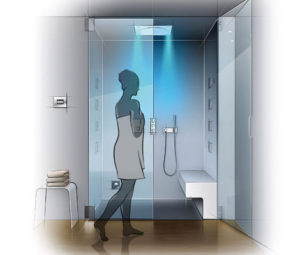 Read more about the article Transform Your Shower Into a Home Spa