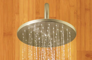 Read more about the article Rainshower Showers: Moen Immersion
