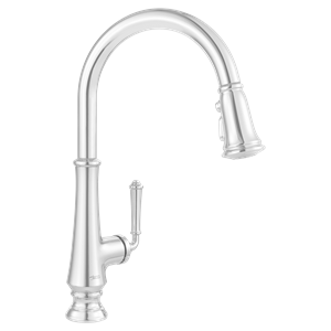 Read more about the article Delancey Kitchen Faucets From American Standard