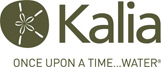 Read more about the article The World of Kalia Style