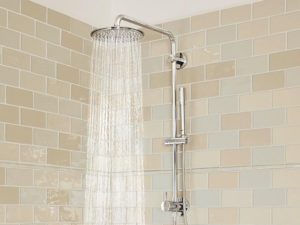 Read more about the article Stocking Stuffer – Grohe RetroFit Shower System