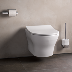 Read more about the article Spring Cleaning: TOTO Tornado Flush