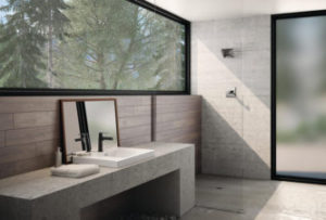 Read more about the article Try a Barrier-Free Shower