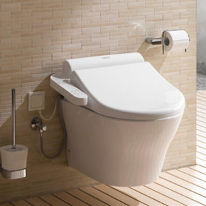 Read more about the article Is A Bidet Seat Right For You?