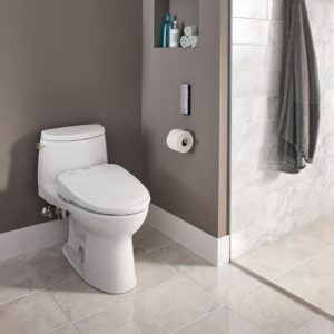 Read more about the article How To Shop For A Toilet