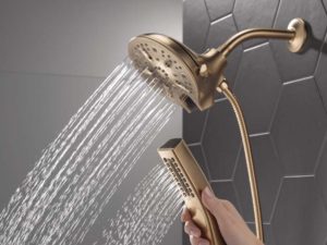 Read more about the article Delta’s In2ition® Two-in-One Shower New!
