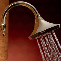 Read more about the article Brizo Custom Showers