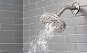 Read more about the article Summer Showers: Pfister’s Thermoforce