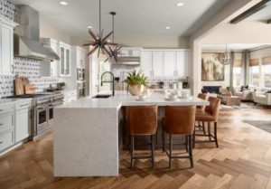 Read more about the article WHAT HOMEOWNERS WANT FROM THEIR KITCHENS IN 2021