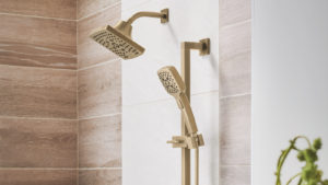 Read more about the article THE ESSENTIAL™ SHOWER SERIES FROM BRIZO