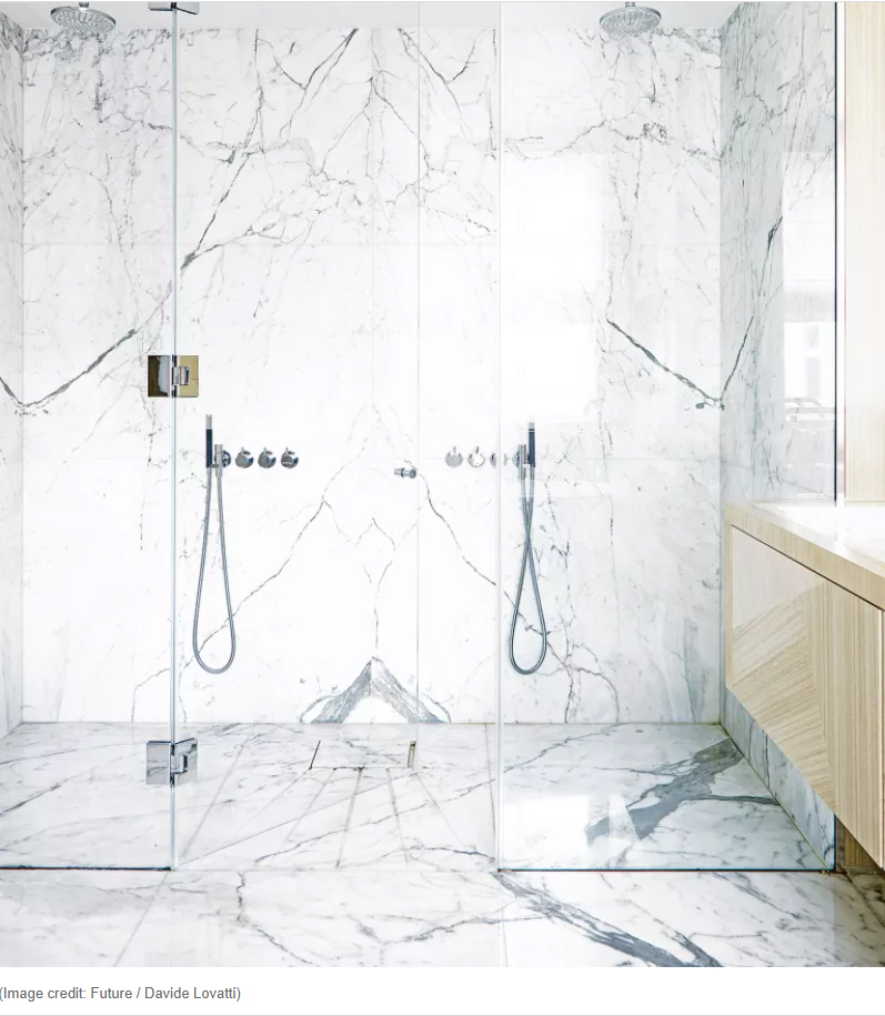 Read more about the article 12 walk-in shower ideas to add luxury to your bathroom