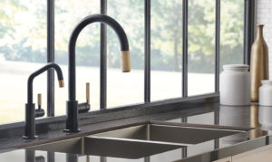 Read more about the article The Litze Collection Stands Out