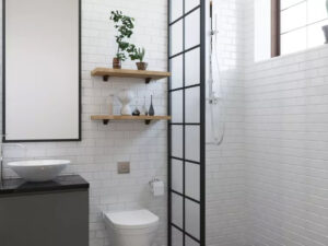 Read more about the article Dryer sheets in the shower?