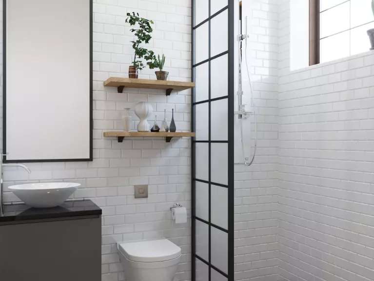 Read more about the article Dryer sheets in the shower?