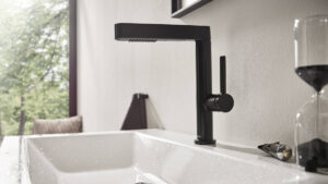 Read more about the article Finoris Pull-Out Spray Faucet from Hansgrohe