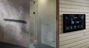 Read more about the article Brizo Mystic Steam System