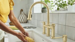 Read more about the article Blanco Unit