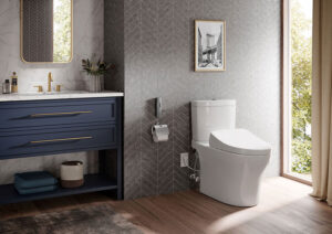 Read more about the article Are you ready to turn your bathroom into a sanctuary of comfort and cleanliness with ease?